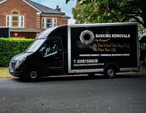 Professional Moving Company